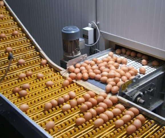 Proceso industrial de alimentos y bebidas atendido por Europotenza